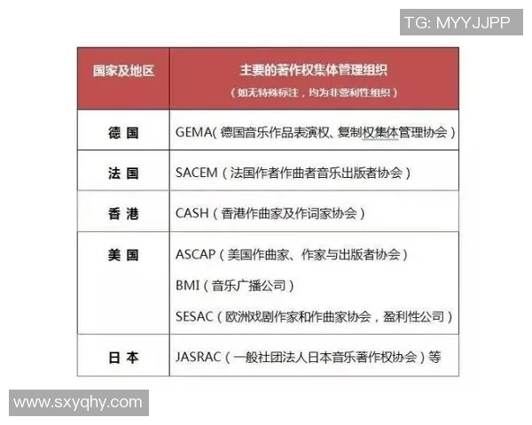独家解析RNG团队协作的优势与不足对比分析