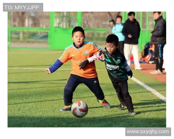 足球卡拉的魅力与激情探索足球与音乐的完美结合之旅